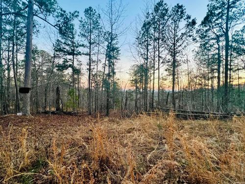 Tract 6 Ramblewood Trail, Yellville, AR, 72687 | Card Image
