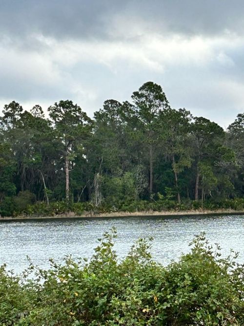 TBD Lot 49 Malauka Radial, OCKLAWAHA, FL, 32179 | Card Image