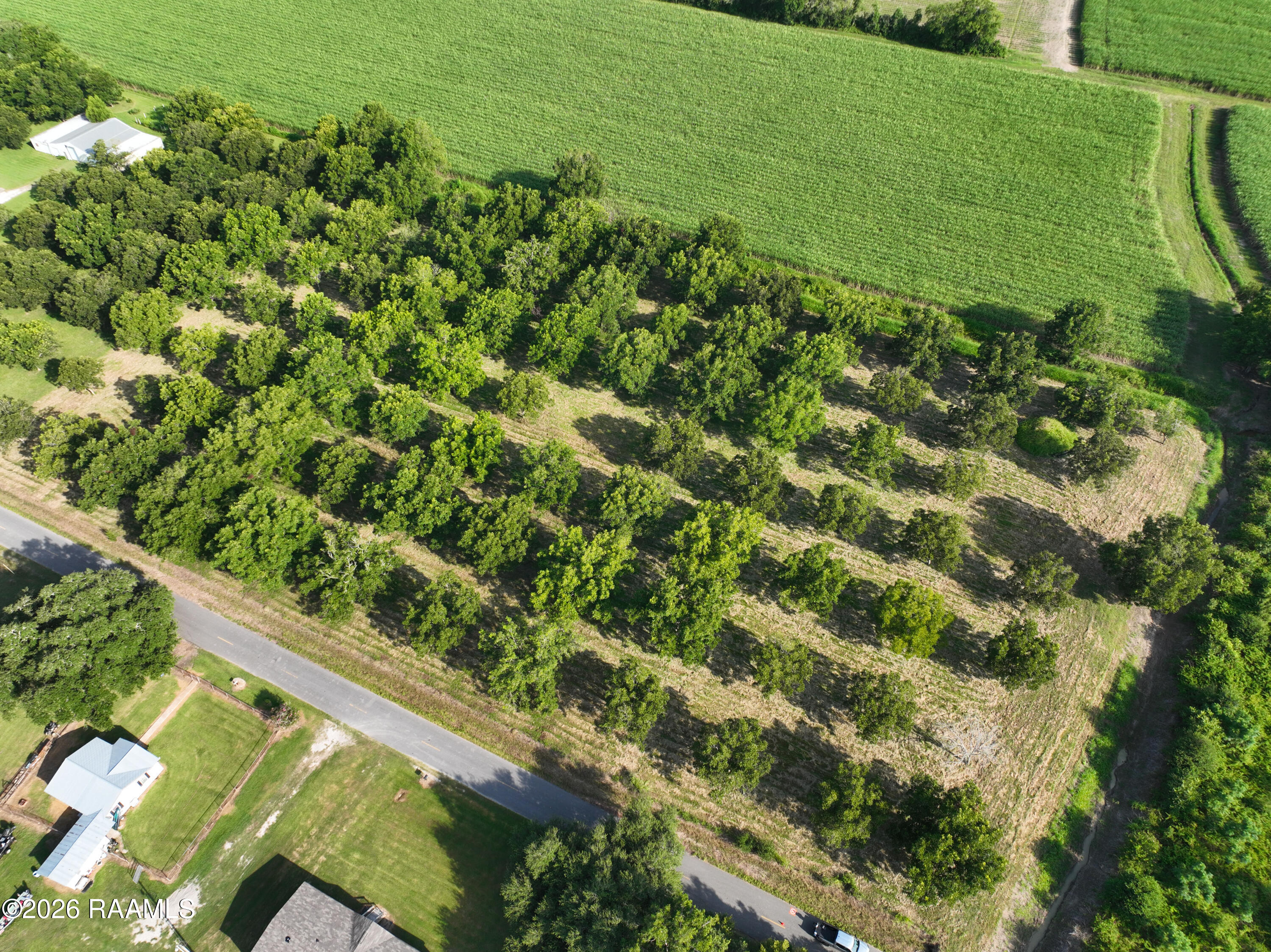 Land in Arnaudville 2