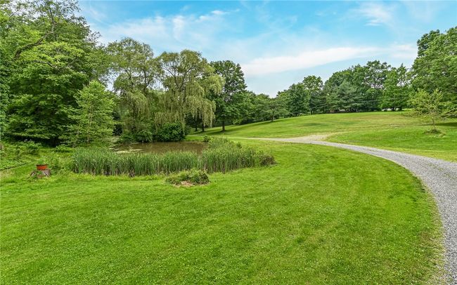 There are 2 ponds on the property | Image 44