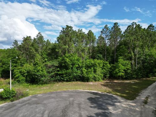 0000 Se 119 St, Belleview, FL, 34420 | Card Image