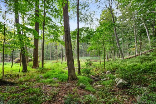 47 John Cross Rd, Mount Kisco, NY, 10549-4972 | Card Image