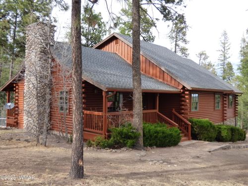 10 Copper Mountain Cir, Alpine, AZ, 85920 | Card Image