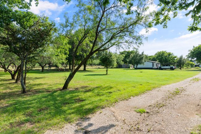 View of green lawn | Image 4