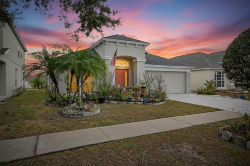 13307 Amber Sky Pl, RIVERVIEW, FL, 33579-7279 | Card Image