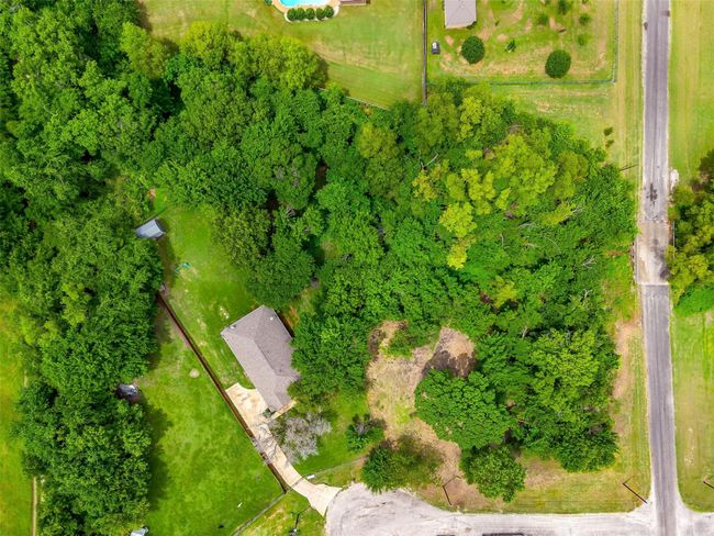 Aerial view | Image 38
