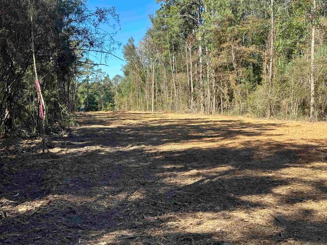 26.85 Acres Heritage Acres Ln, Home with 0 bedrooms, 0 bathrooms and null parking in Robert LA | Image 9