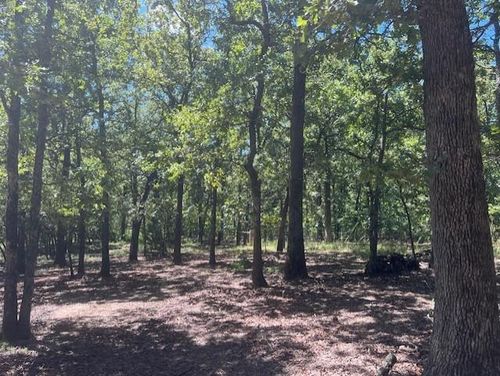 29193 Silverhorn Ln, Macomb, OK, 74852-5779 | Card Image