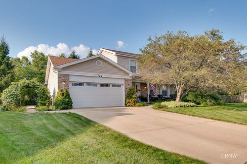 729 Cutters Mill Court, Schaumburg, IL, 60194 | Card Image