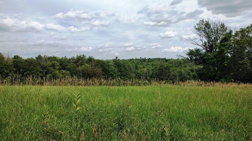Map 1 Lot 50 Colburn Road, New Boston, NH, 03070 | Card Image