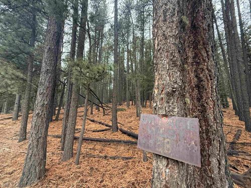 53 Valle Grande Trl S, Angel Fire, NM, 87710 | Card Image