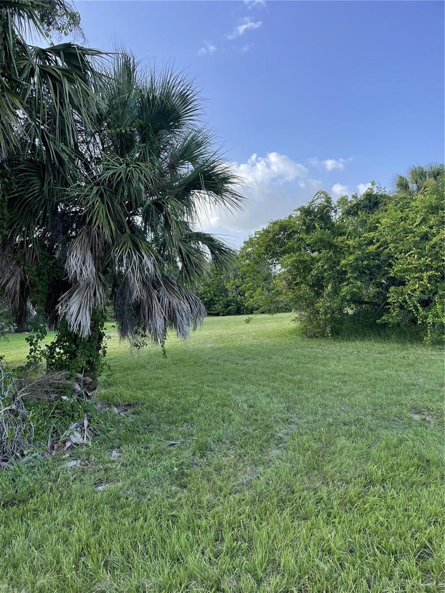 Land in PLACIDA