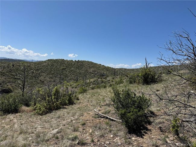 29 18 X, Home with 0 bedrooms, 0 bathrooms and null parking in Cotopaxi CO | Image 17