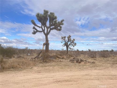0 Dos Palmas Rd, Phelan, CA, 92371 | Card Image
