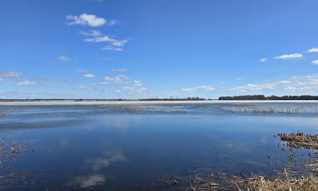 view.jpg | Image 5