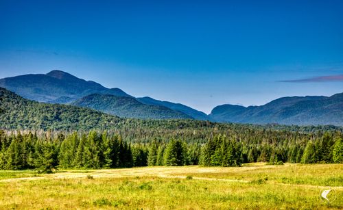 166 Far Horizon Dr, Lake Placid, NY, 12946 | Card Image