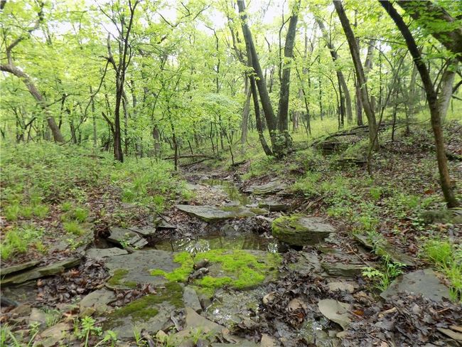 1267 Rock Creek Rd, Home with 0 bedrooms, 0 bathrooms and null parking in Williamsburg KS | Image 12