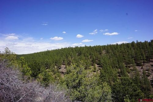 3 TBD Road 36.5, Mancos, CO, 81328 | Card Image