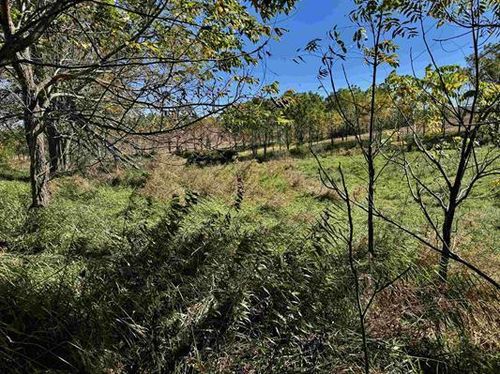 41.80 Acres County Road O, KENDALL, WI, 53565 | Card Image