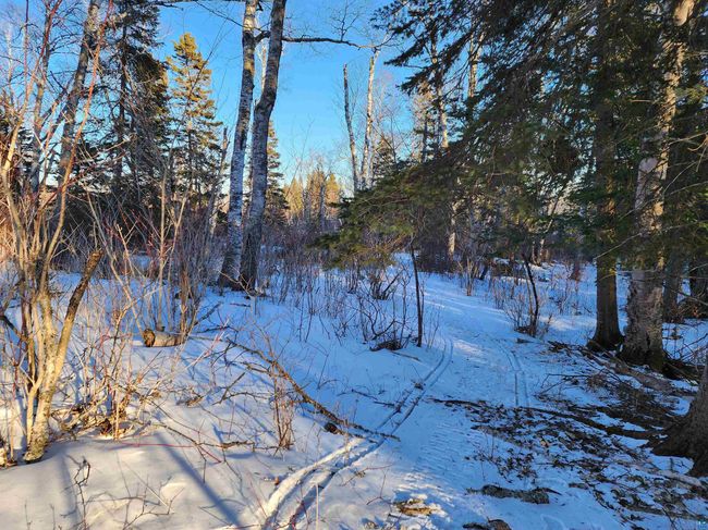 XX-2 Hoaglund Dr, Home with 0 bedrooms, 0 bathrooms and null parking in Tofte MN | Image 13
