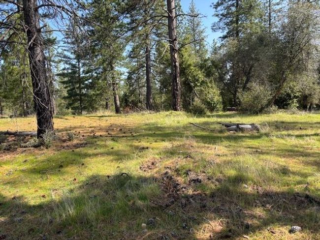 19292 Shawnee Trl, Home with 0 bedrooms, 0 bathrooms and null parking in Mokelumne Hill CA | Image 5