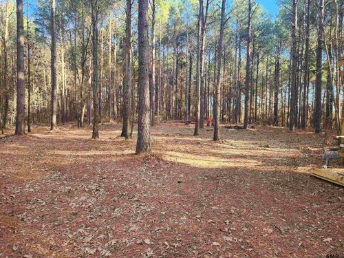 TBD Cr 4313 Lot 6, Pittsburg, TX, 75686 | Card Image