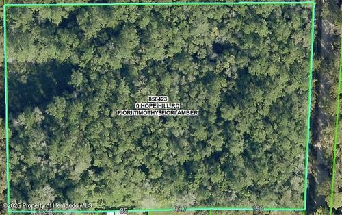 0 Hope Hill Rd, Brooksville, FL, 34601 | Card Image
