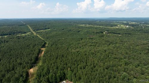 0 Wilkerson Road, Fayette, AL, 35555 | Card Image