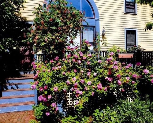 71 Abbottsford, Brookline, MA, 02446 | Card Image