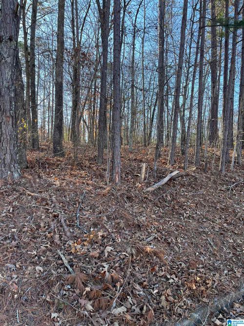 0-0 Comanche Trl, Anniston, AL, 36206 | Card Image