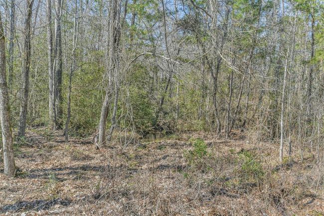 35 Old Sign Rd, Home with 1 bedrooms, 1 bathrooms and null parking in Midway TX | Image 36
