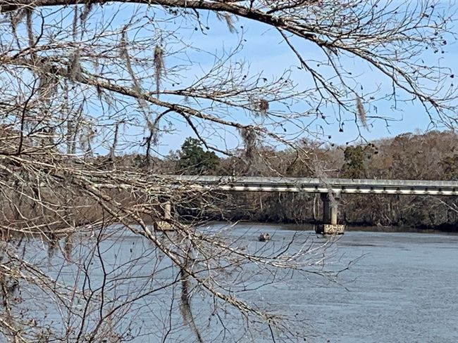 Choctawhatchee River | Image 19