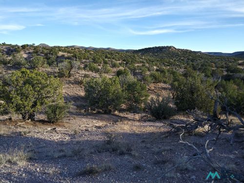 115-115 Abbe Spgs, Magdalena, NM, 87825 | Card Image