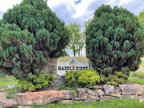 14B Saddle Ridge Farms, Warne, NC, 28909 | Card Image