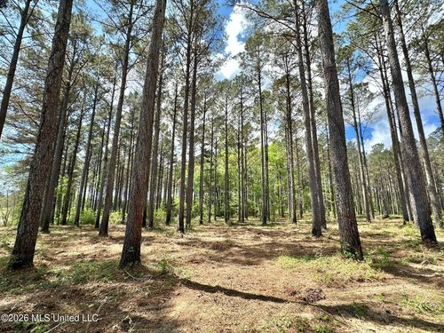 2 Morgan Rd, Canton, MS, 39046 | Card Image