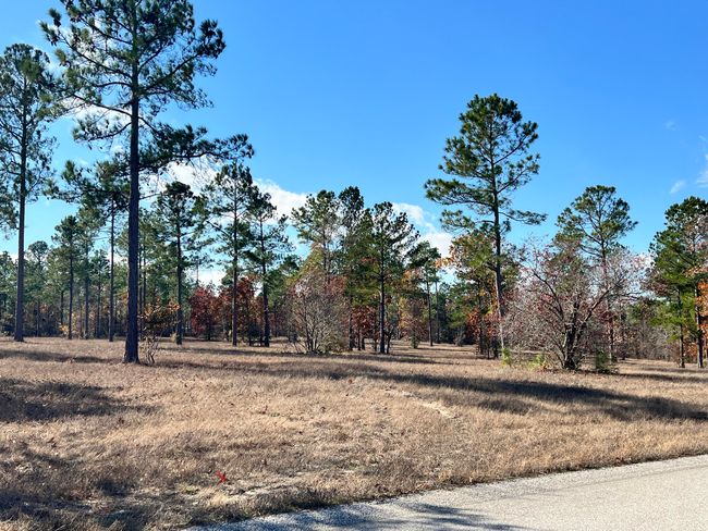 1415 Dasher Circle, Home with 0 bedrooms, 0 bathrooms and null parking in Aiken SC | Image 5