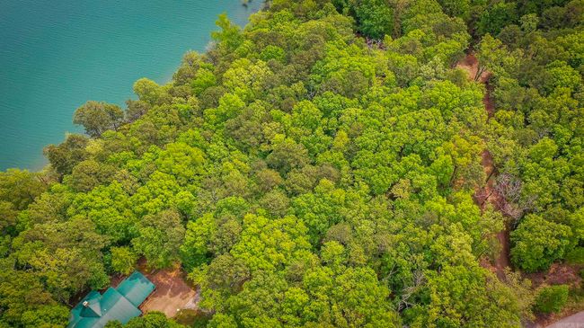 35 Parrott Point Rd, Home with 0 bedrooms, 0 bathrooms and null parking in Drasco AR | Image 17