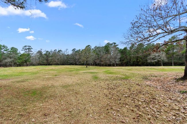 A 5-acre green pasture protected by a fence with low-maintenance, HorseGuard electric fencing, safely confines all types of horses and brings homeowners peace of mind. This picturesque landscape is enveloped by acres of mature trees offering a private and secluded paradise. The horses can enjoy freely grazing and splashing in the pond. | Image 46