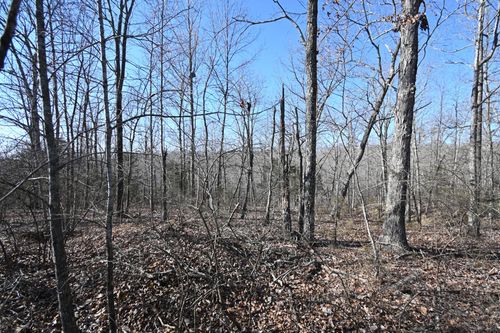 130 Wyatt Ln, Linden, TN, 37096 | Card Image