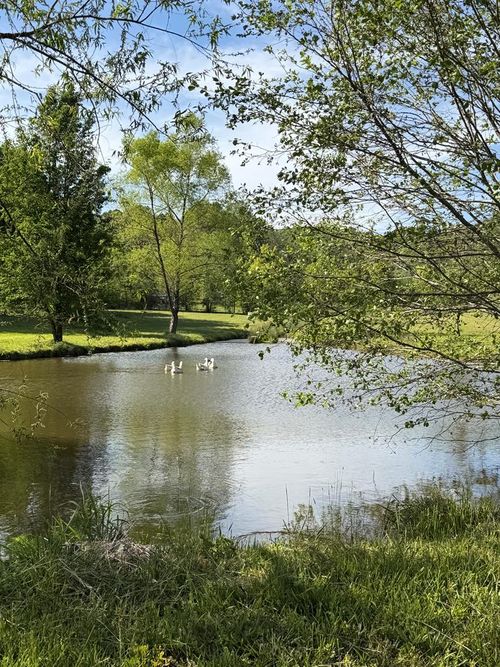 0 Barnett Road, Murphy, NC, 28906 | Card Image