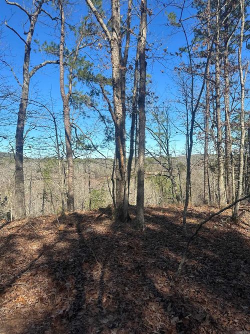 00M Walnut Valley Dr, Hot Springs Village, AR, 71909 | Card Image