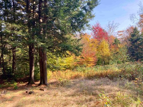 Lot 5 Taylor Road, Duxbury, VT, 05676 | Card Image