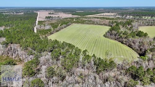 Tract 6 Ingram Rd, Odum, GA, 31555 | Card Image