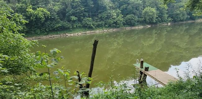 Dock located on the banks of the Kentucky River. Stationary. River is approximately 11 ft deep at the end of the dock. | Image 8