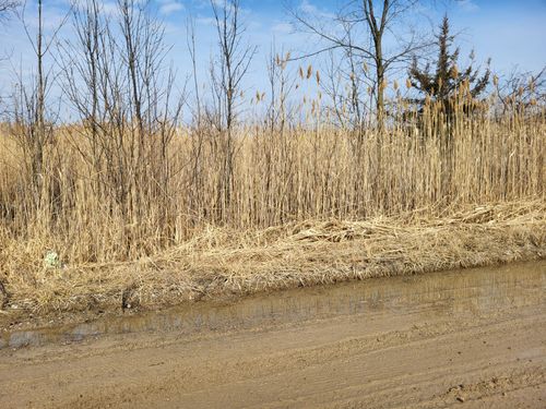 0 Carleton West Rd, New Boston, MI, 48164 | Card Image