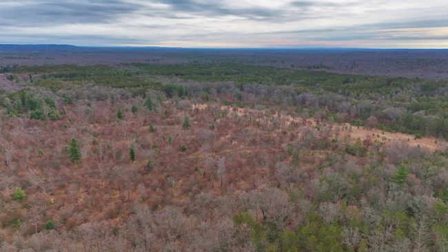 3726 N Custer Rd, Home with 0 bedrooms, 0 bathrooms and null parking in Manistee MI | Image 8