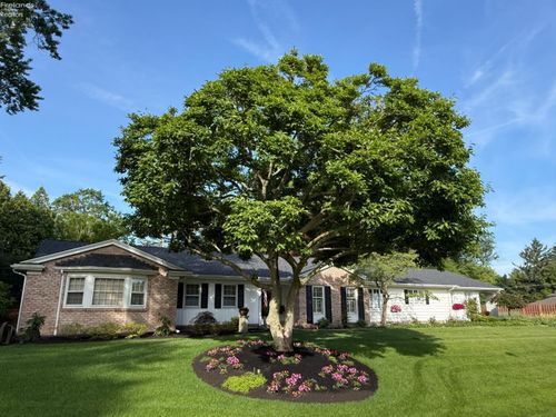 20 James St, Norwalk, OH, 44857-2429 | Card Image