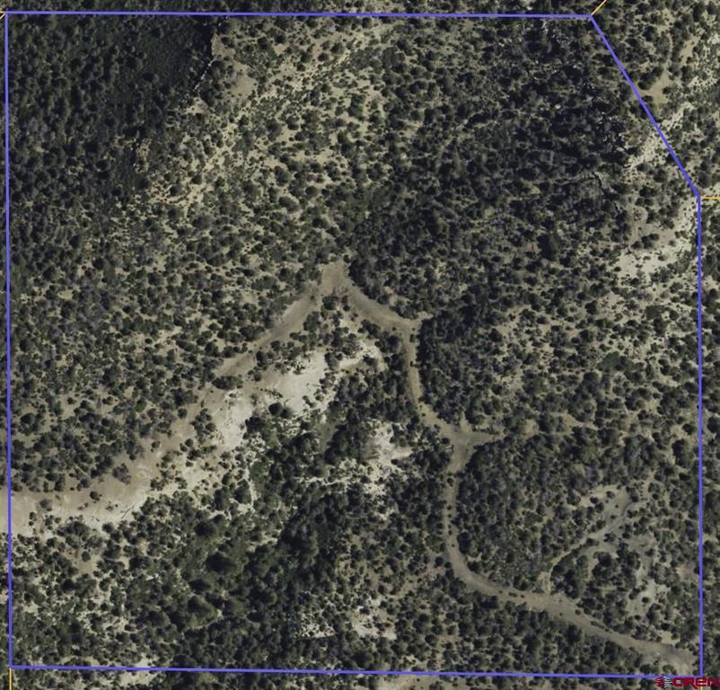 Land in Trinidad