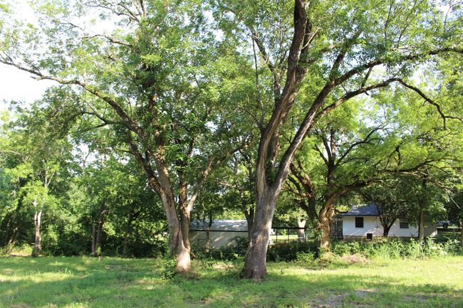 View of yard | Image 10