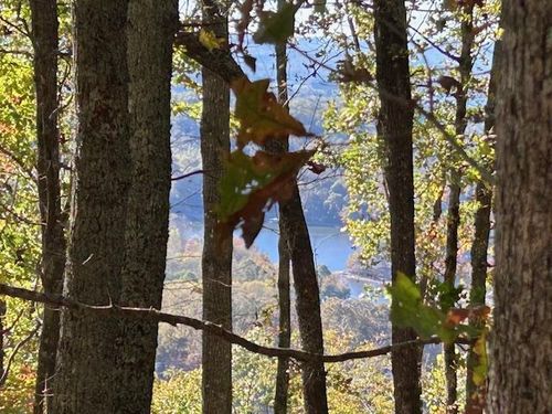 630 Hot House Rd, Hayesville, NC, 28904-5129 | Card Image